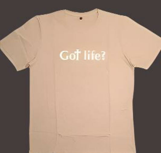 Oversized T-Shirt: Got Life?